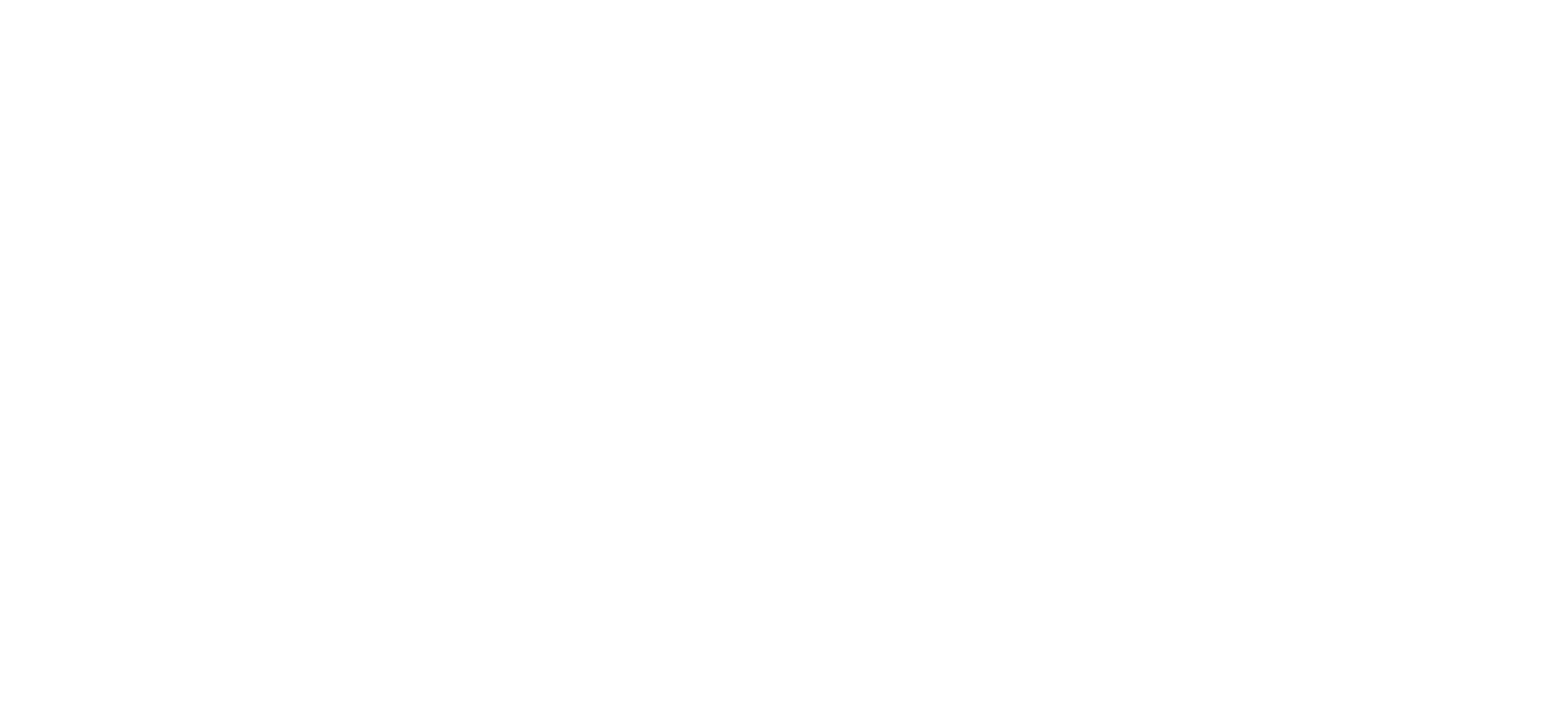 NZ Drillers Federation Logo